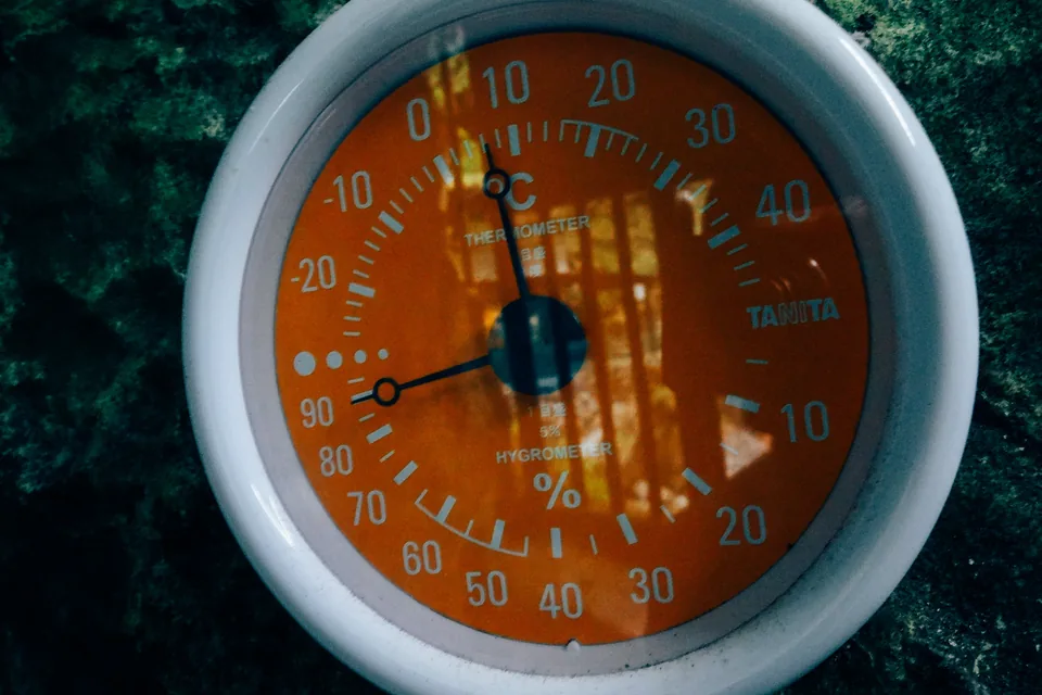 Cigar Hygrometer Guide: Types, Accuracy and Calibration — round analogue hygrometer dial showing relative humidity and temperature scales